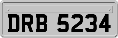 DRB5234