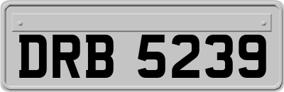 DRB5239