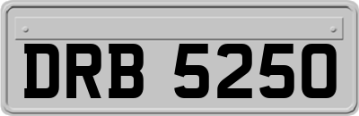 DRB5250