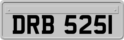 DRB5251