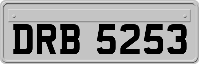 DRB5253