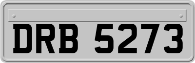 DRB5273