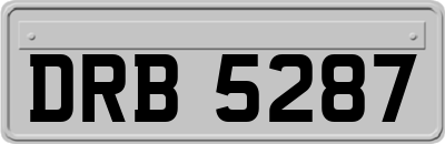 DRB5287