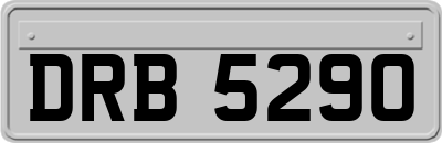 DRB5290