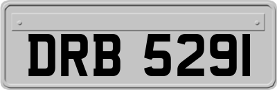 DRB5291