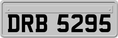 DRB5295