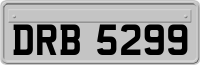 DRB5299