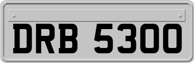 DRB5300