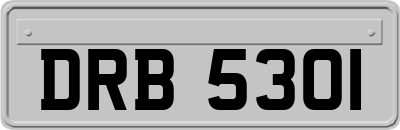 DRB5301