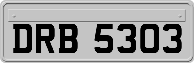 DRB5303