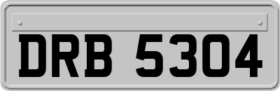 DRB5304