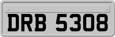 DRB5308