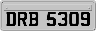 DRB5309