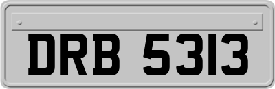 DRB5313