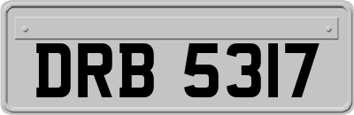 DRB5317