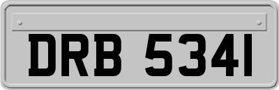 DRB5341