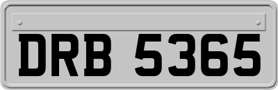DRB5365