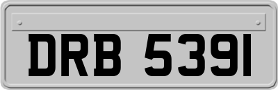 DRB5391