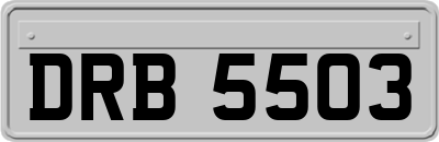 DRB5503