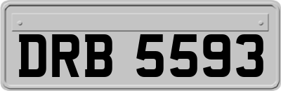 DRB5593