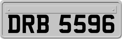 DRB5596