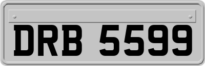DRB5599