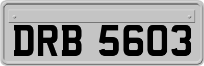 DRB5603