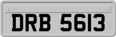 DRB5613