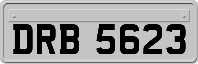 DRB5623