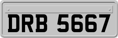 DRB5667