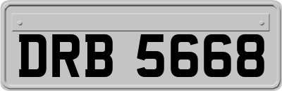DRB5668