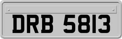 DRB5813