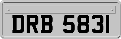DRB5831