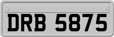 DRB5875