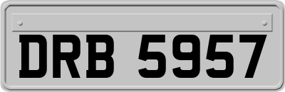 DRB5957
