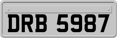 DRB5987