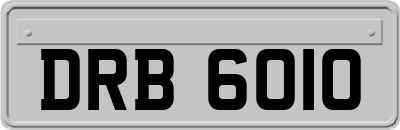 DRB6010
