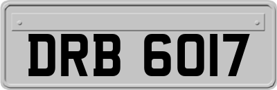 DRB6017