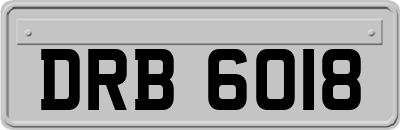 DRB6018