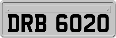 DRB6020
