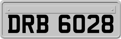 DRB6028