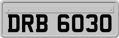 DRB6030