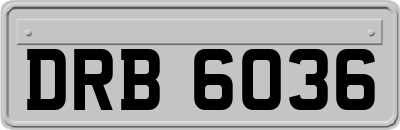 DRB6036