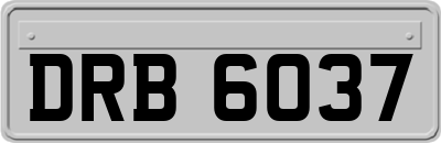 DRB6037