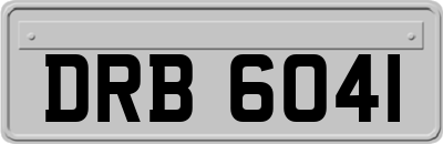 DRB6041