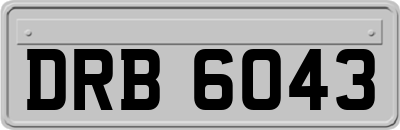 DRB6043