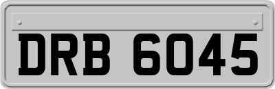 DRB6045