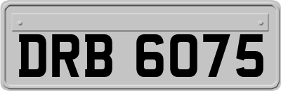 DRB6075