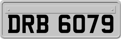 DRB6079