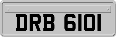 DRB6101